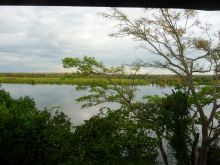 The grounds at Nile Safari Lodge, Murchison National Park, Uganda (Mango Staff photo)