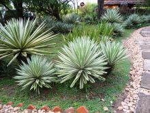 The grounds at Nile Safari Lodge, Murchison National Park, Uganda (Mango Staff photo)