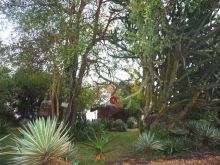 The grounds at Nile Safari Lodge, Murchison National Park, Uganda (Mango Staff photo)