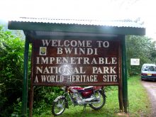 Entry to the Bwindi Impenetrable Forest at Buhoma Lodge Bwindi, Bwindi Impenetrable Forest, Uganda (Mango Staff photo)