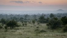 A panorama of the scenery at Londolozi Varty Camp, Sabi Sands Game Reserve, South Africa