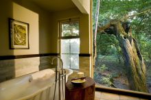 Phinda Forest Lodge, Phinda Private Game Reserve, South Africa