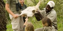 Phinda Mountain Lodge, Phinda Private Game Reserve, South Africa Â© AndBeyond