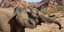 Camp Kipwe, Damaraland, Namibia