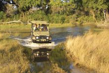 Pom Pom Camp, Okavango Delta, Botswana