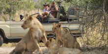 Potato Bush Camp, Lower Zambezi National Park, Zambia