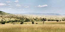 Central Serengeti View