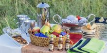 Drink stop - Royal Madikwe, Madikwe Game Reserve, South Africa