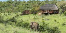 Royal Madikwe, Madikwe Game Reserve, South Africa