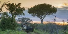 Royal Madikwe, Madikwe Game Reserve, South Africa