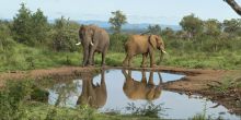 Royal Madikwe, Madikwe Game Reserve, South Africa