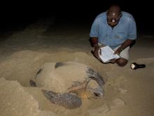 Rocktail Beach Camp, KwaZulu-Natal, South Africa Â© Dana Allen