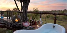 Royal Madikwe, Madikwe Game Reserve, South Africa