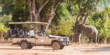 Royal Zambezi Lodge, Lower Zambezi National Park, Zambia