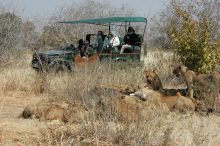 Ruaha River Lodge, Ruaha National Park, Tanzania