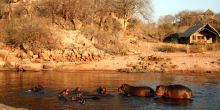 Ruaha River Lodge, Ruaha National Park, Tanzania