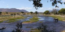 Ruaha River Lodge 