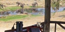 Ruaha River Lodge 