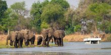 Ruckomechi Camp, Mana Pools National Park, Zimbabwe