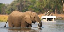 Ruckomechi Camp, Mana Pools National Park, Zimbabwe