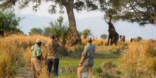 Ruckomechi Camp, Mana Pools National Park, Zimbabwe