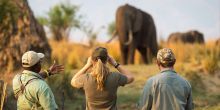 Ruckomechi Camp, Mana Pools National Park, Zimbabwe