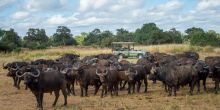 Ruckomechi Camp, Mana Pools National Park, Zimbabwe