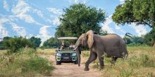 Ruckomechi Camp, Mana Pools National Park, Zimbabwe