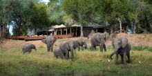 Ruckomechi Camp, Mana Pools National Park, Zimbabwe