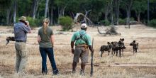 Ruckomechi Camp, Mana Pools National Park, Zimbabwe