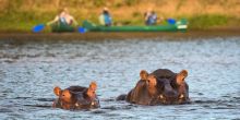 Ruckomechi Camp, Mana Pools National Park, Zimbabwe