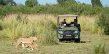 Ruckomechi Camp, Mana Pools National Park, Zimbabwe