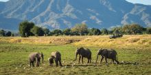 Ruckomechi Camp, Mana Pools National Park, Zimbabwe