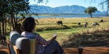 Ruckomechi Camp, Mana Pools National Park, Zimbabwe