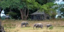 Ruckomechi Camp, Mana Pools National Park, Zimbabwe