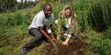 Bisate Tree Planting Experience