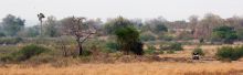 Sand Rivers Selous, Selous National Park, Tanzania Â© Nomad Tanzania