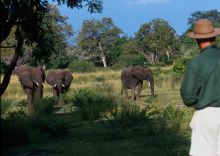 Sand Rivers Selous, Selous National Park, Tanzania Â© Nomad Tanzania