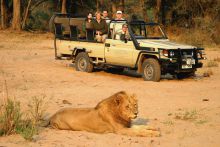 Sausage Tree Camp, Lower Zambezi National Park, Zambia