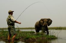 Sausage Tree Camp, Lower Zambezi National Park, Zambia