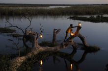 Sausage Tree Camp, Lower Zambezi National Park, Zambia