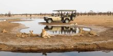 Game drive