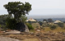 Sayari Camp, Seregenti National Park, Tanzania