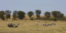 Sayari Camp, Seregenti National Park, Tanzania