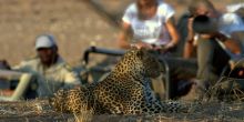 Mashatu Lodge, Mashatu Game Reserve, Botswana