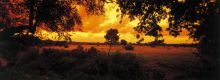 Selati View- Sabi Sabi Selati Camp, Sabi Sands Game Reserve, South Africa