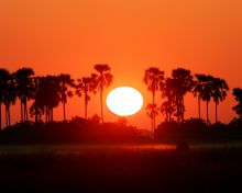 Sunset over the delta at Selinda Camp, Linyati Wetlands, Botswana (Mike Myers)