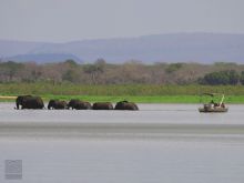 Selous Safari Camp, Selous National Park, Tanzania