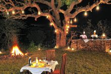 Serengeti Migration Camp, Serengeti National Park, Tanzania