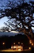 Serengeti Migration Camp, Serengeti National Park, Tanzania